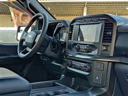 فۆرد F-150